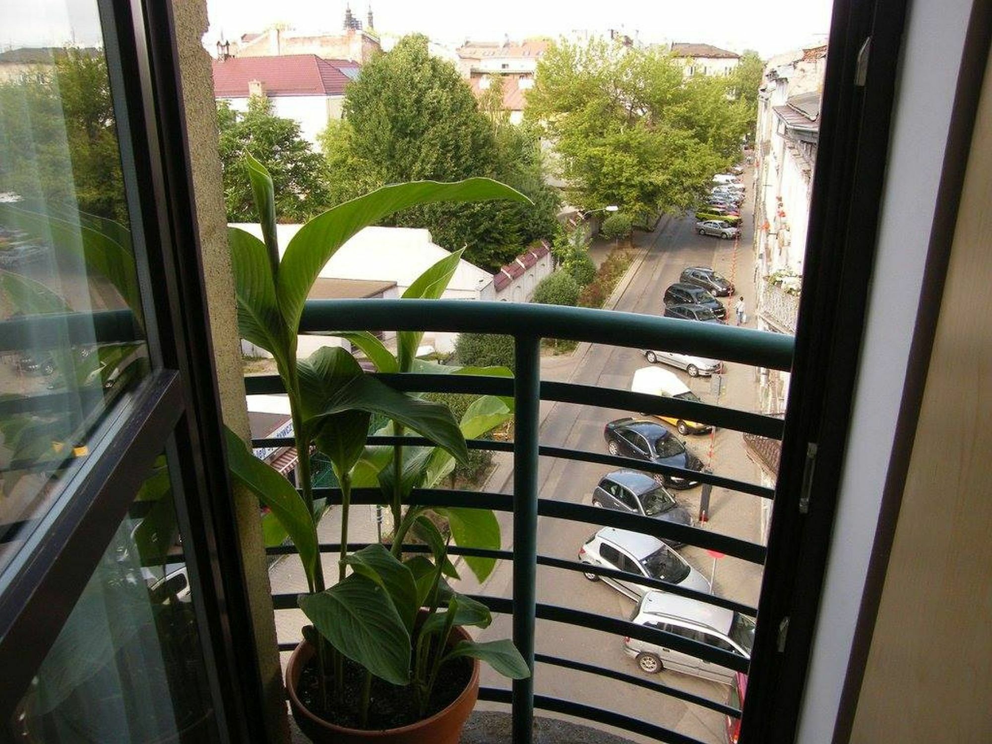 Homely Apartment's Old Town Krakov