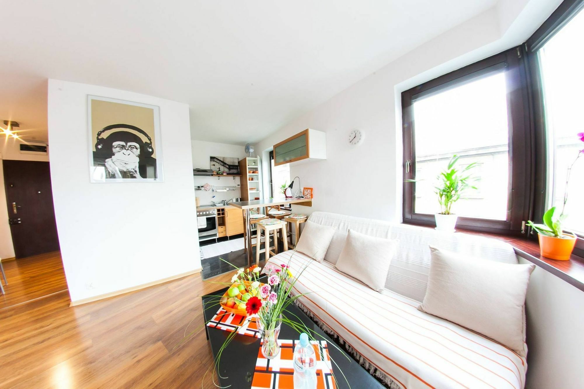 Homely Apartment's Old Town Krakov